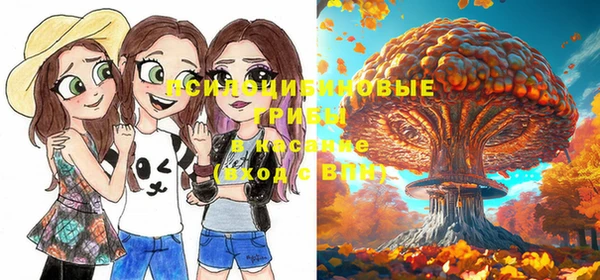 тгк Богородицк