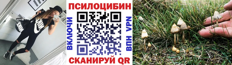 MEGA   закладка  Кодинск  Псилоцибиновые грибы Magic Shrooms 